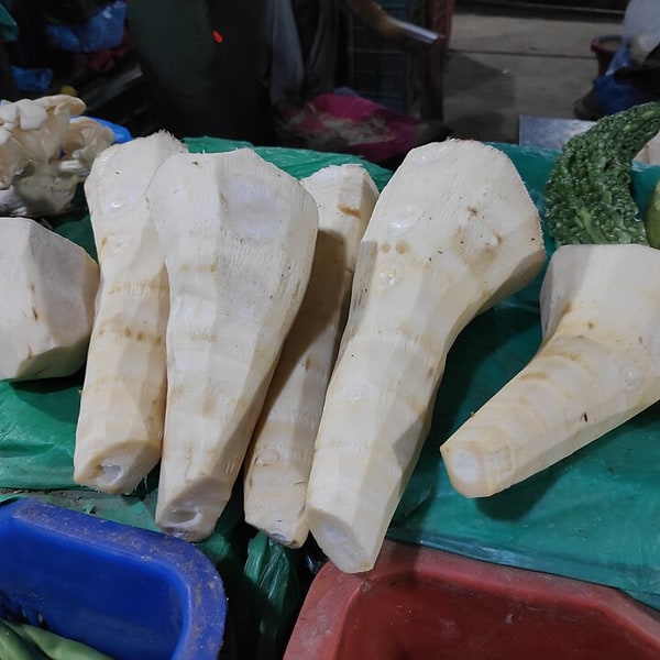 Bamboo Shoot Fresh